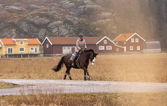 Ridsport & Hästar. Porträtt, Mode och Reklamfotograf på västkusten, Bohuslän. Dokumenterande fotografi, Tjörn